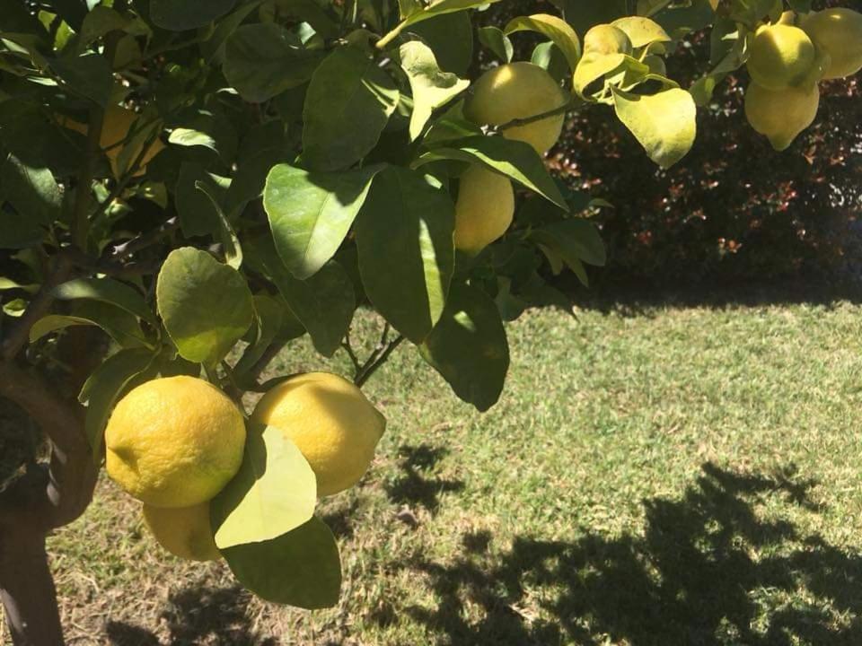 Tenuta Edone' Graniti