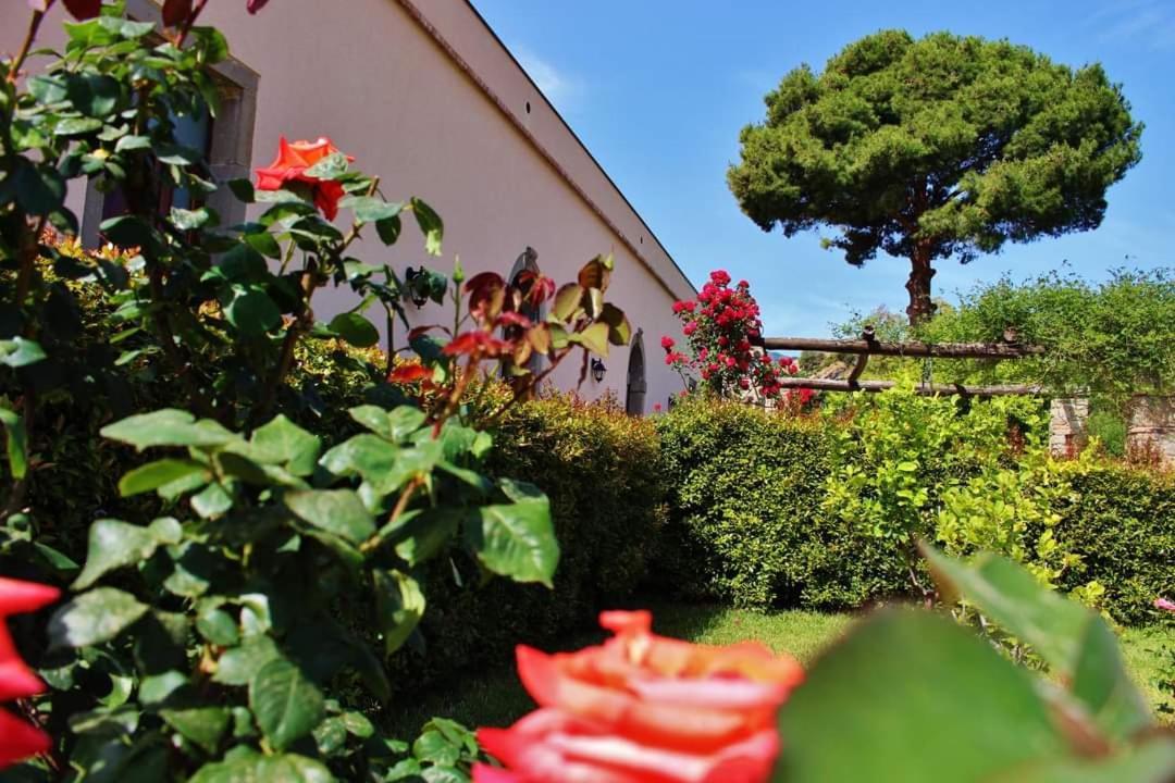 Tenuta Edone' Bauernhof